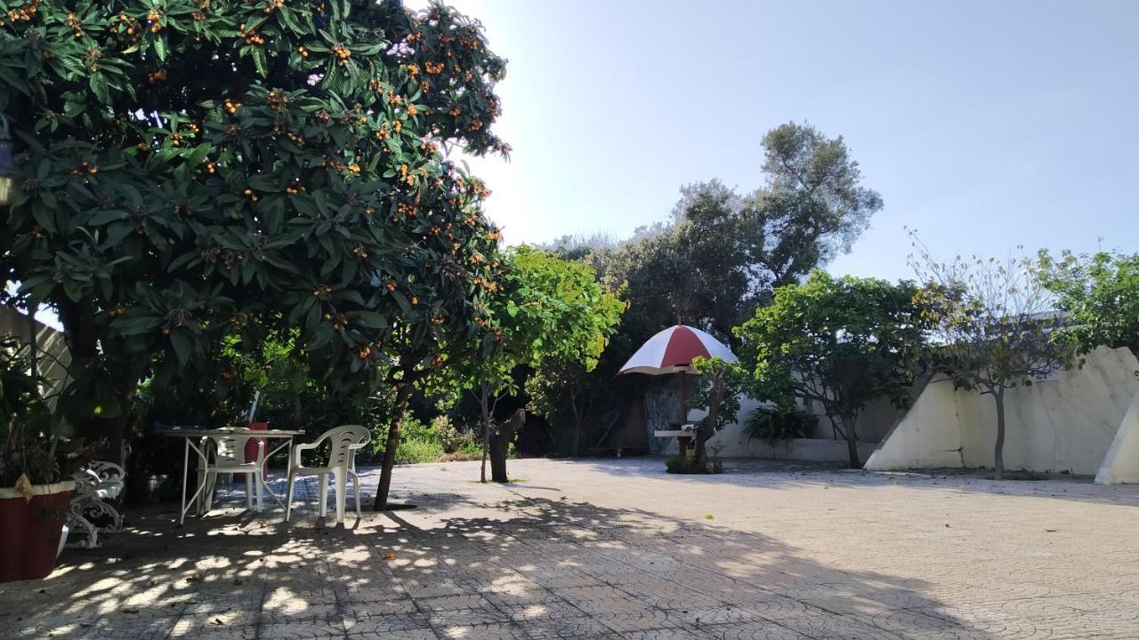 Forever Sao Bras São Brás de Alportel Εξωτερικό φωτογραφία